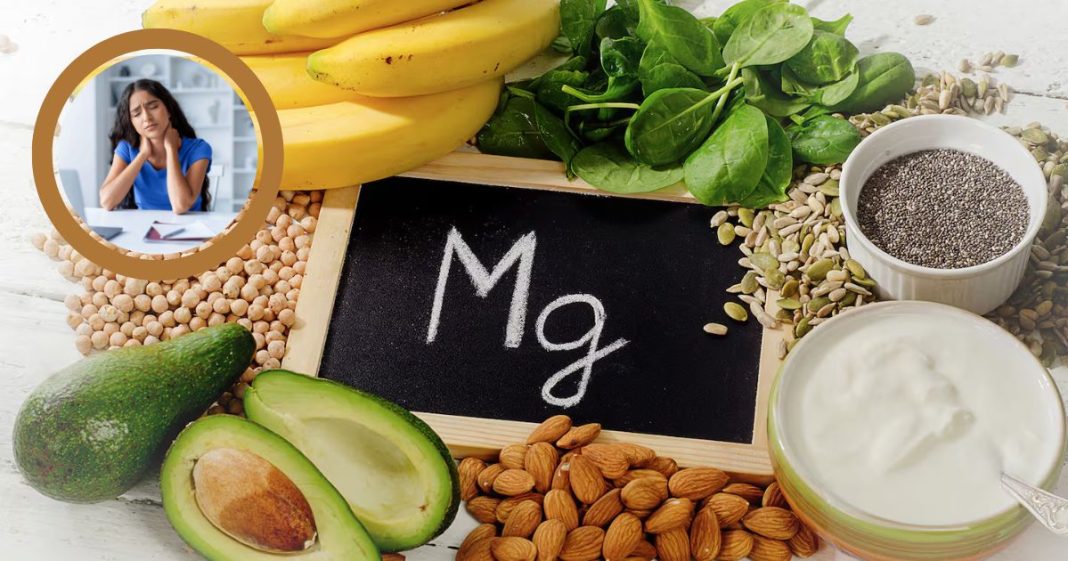 importancia magnesio