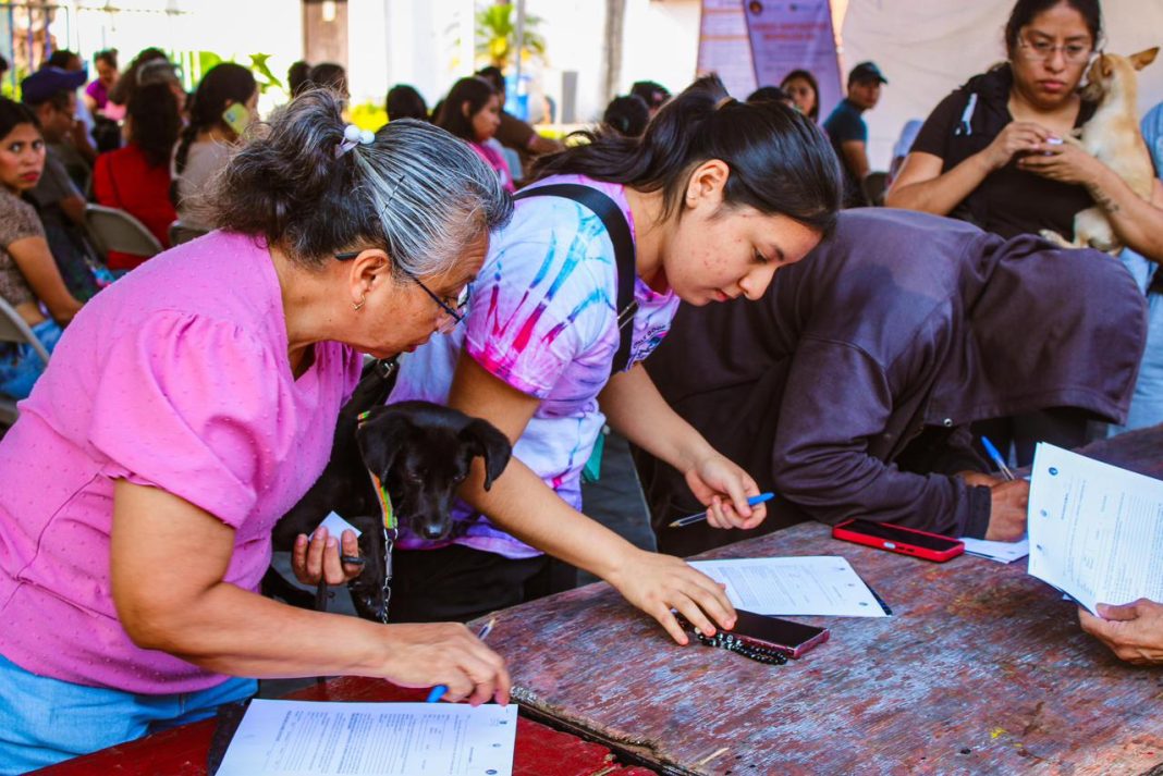 Personal médico veterinario realiza cirugías de esterilización gratuita a mascotas en la sede Papagayo de Cuernavaca.