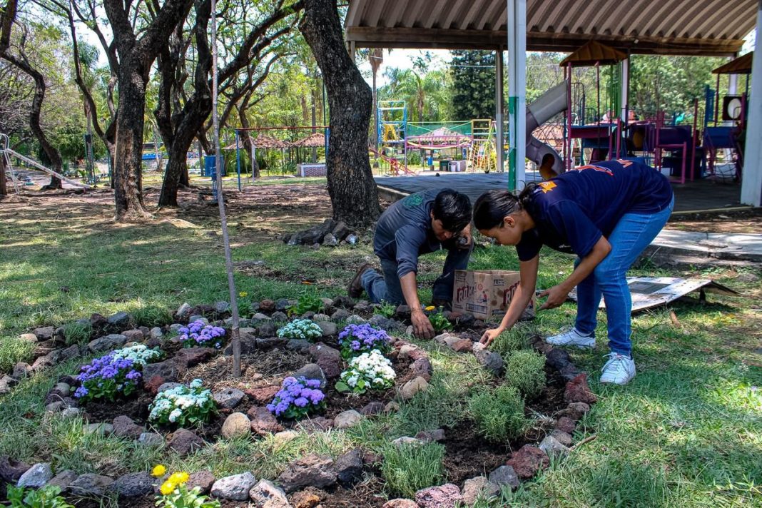 Ciudadanos y autoridades realizan labores de ornamentación floral y mantenimiento en el Parque Alameda Solidaridad.