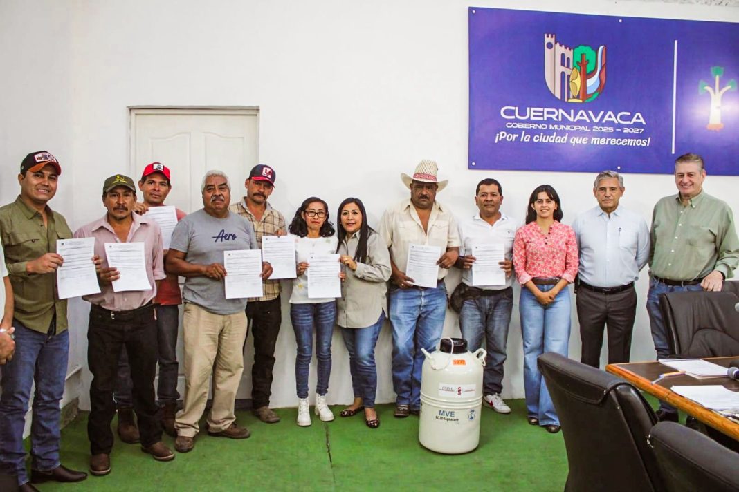 El alcalde de Cuernavaca entrega insumos de mejoramiento genético pecuario a productores ejidales en una mesa de trabajo.