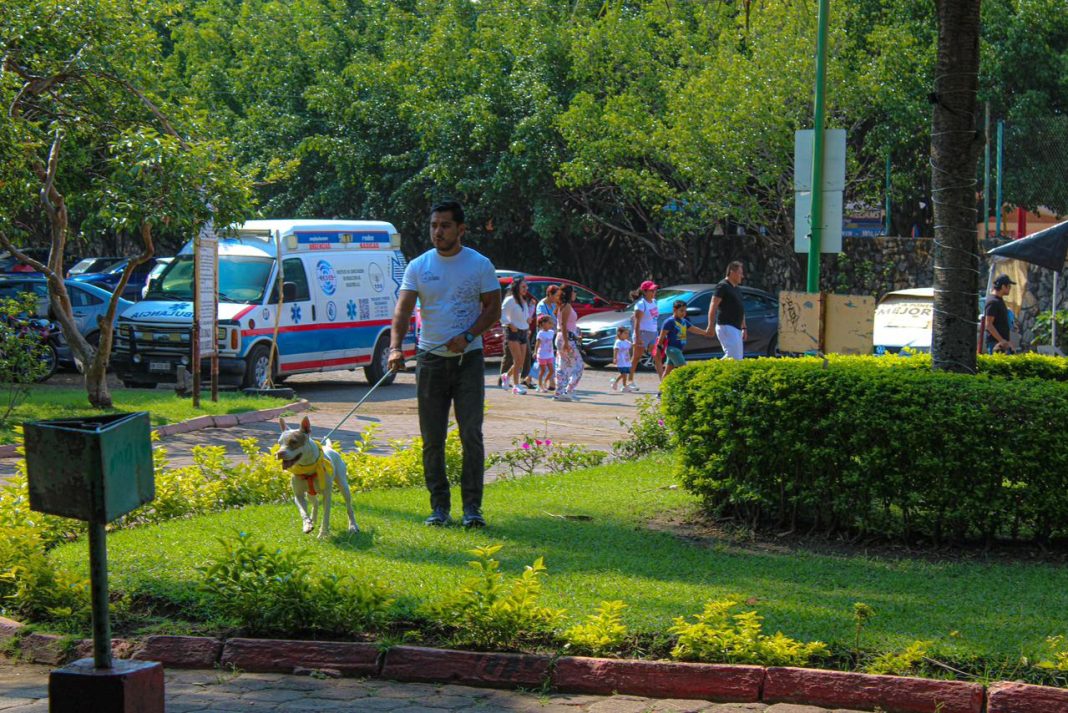 Familias y animales de compañía participan en la carrera con causa en las instalaciones del Parque Alameda