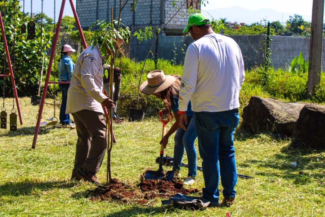Personal de la SDSySP y voluntarios realizando labores de plantación durante la jornada de reforestación en el Parque Bicentenario.